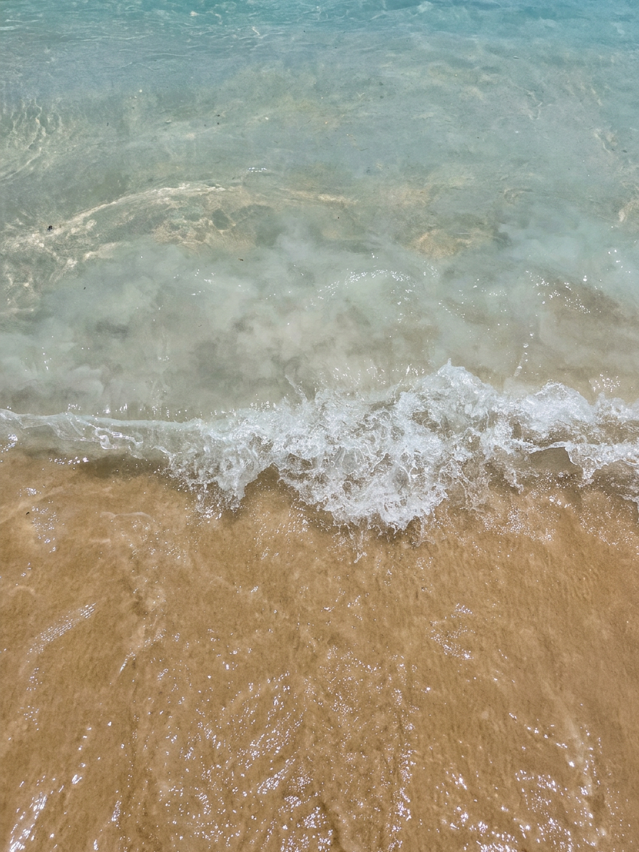Top Activities to Enjoy at Panama City Beach and Pier Park